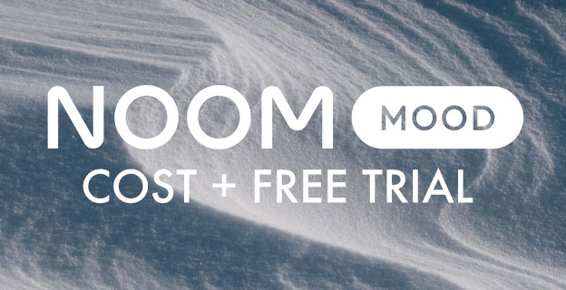 Noom Mood Review