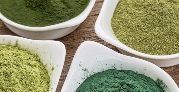 greens powder vs multivitamin